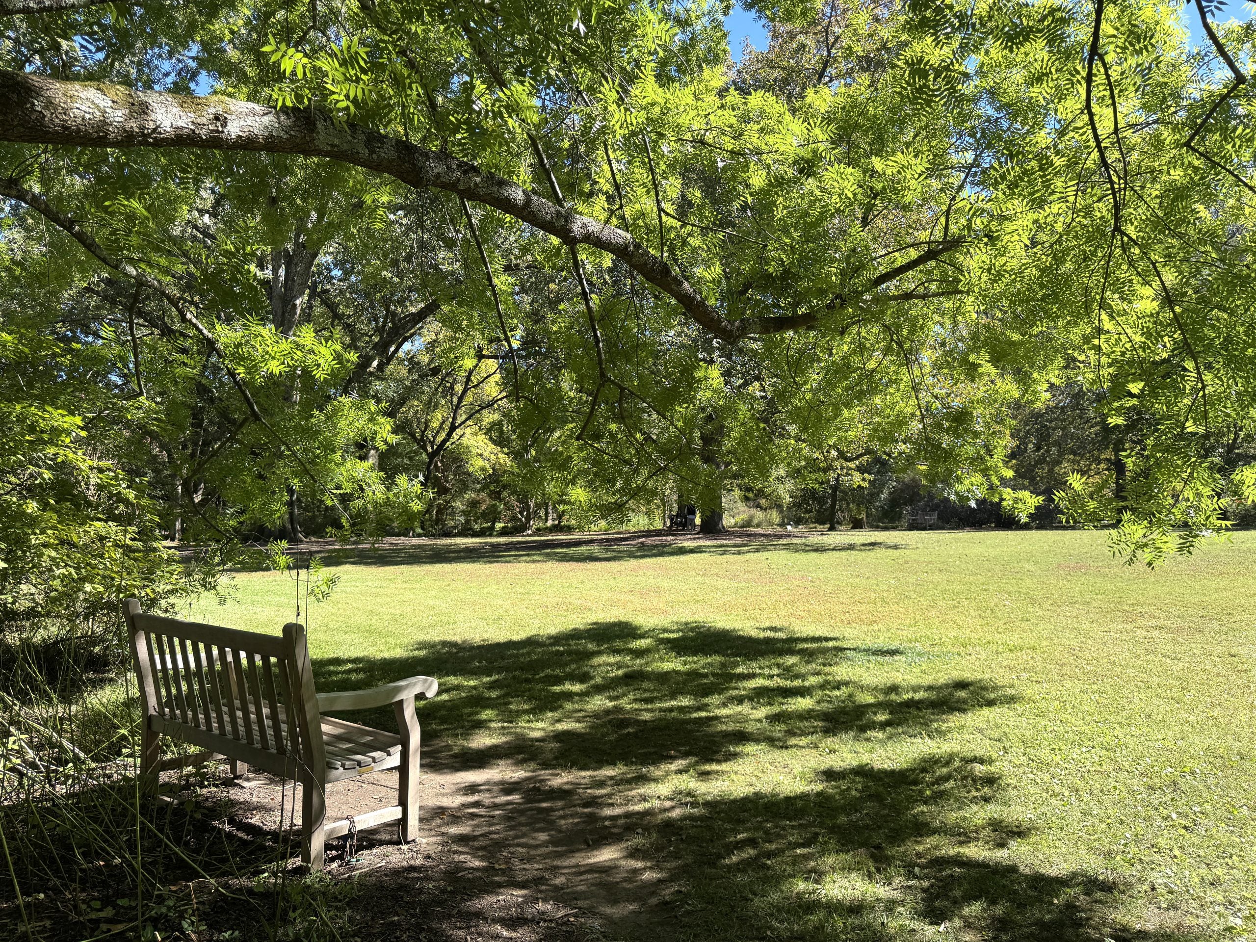 Coker Arboretum on a sunny day on the campus of UNC-Chapel Hill.