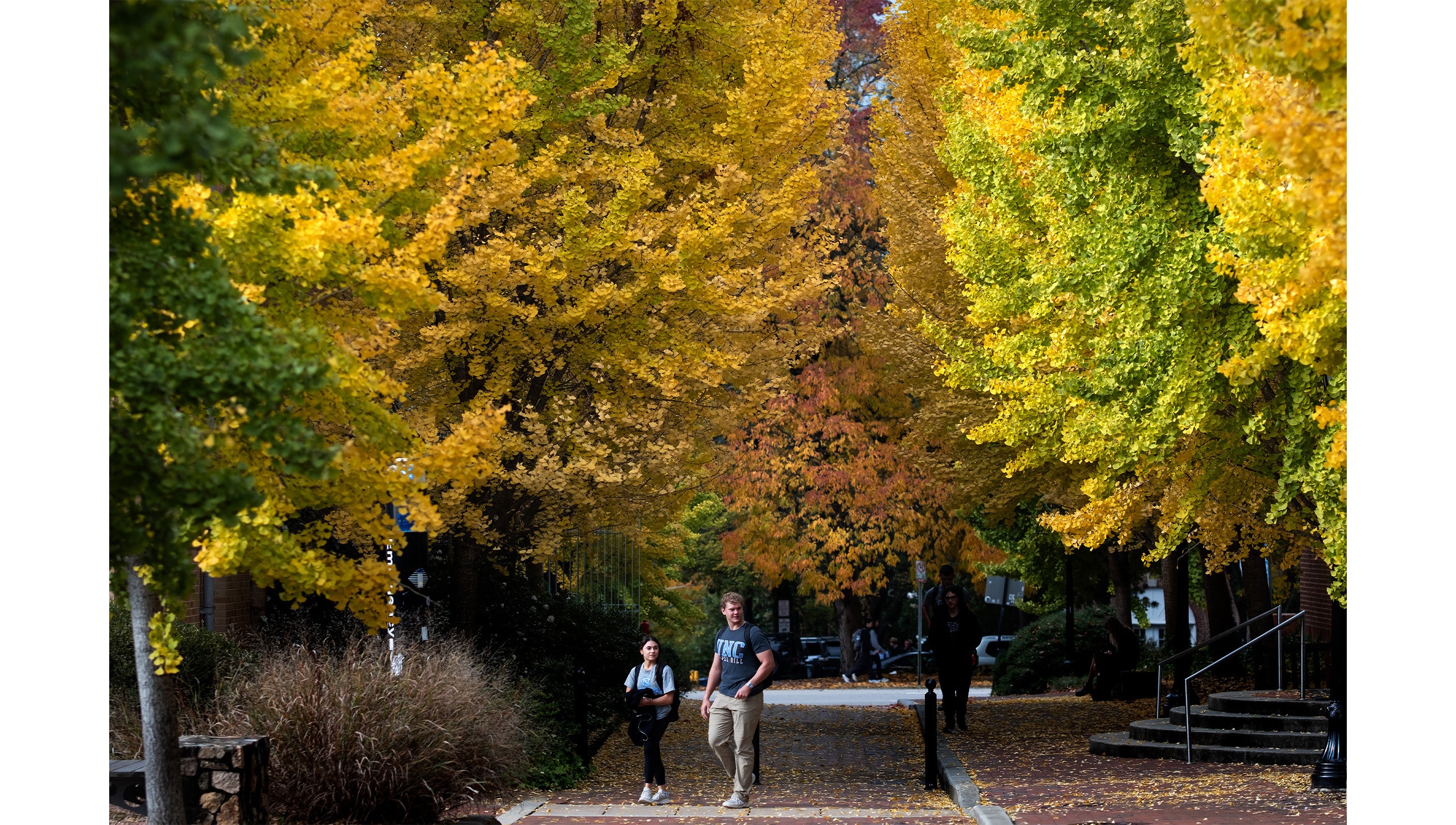 Two UNC-Chapel Hill students walking down a brick pathway. In the background are rows of trees with green, yellow, orange and red leaves in the direction of Columbia Street.