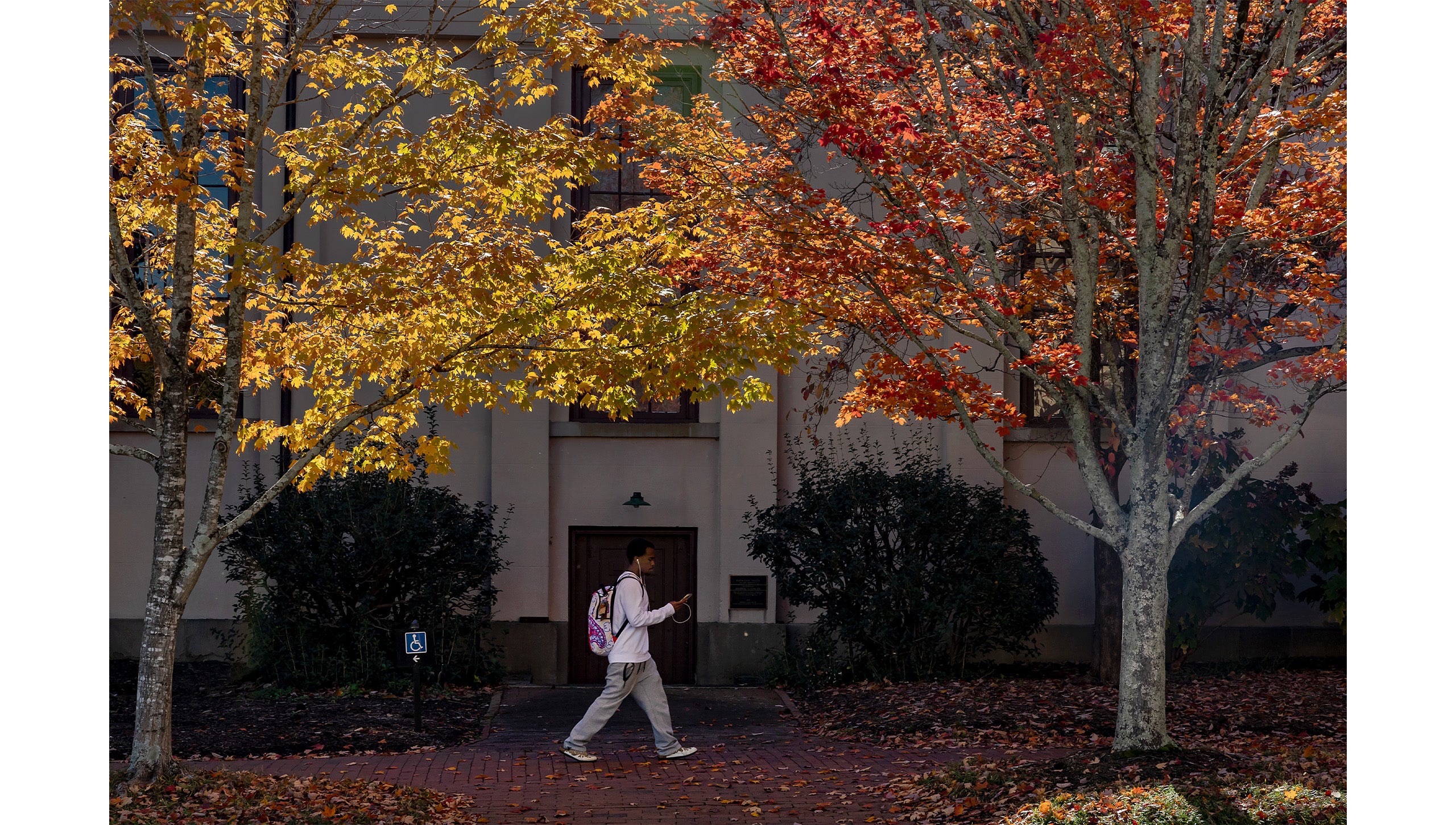 A UNC-Chapel Hill student walking down a brick pathway outside of Historic PlayMakers with trees with yellow, red, orange and green leaves also pictured.