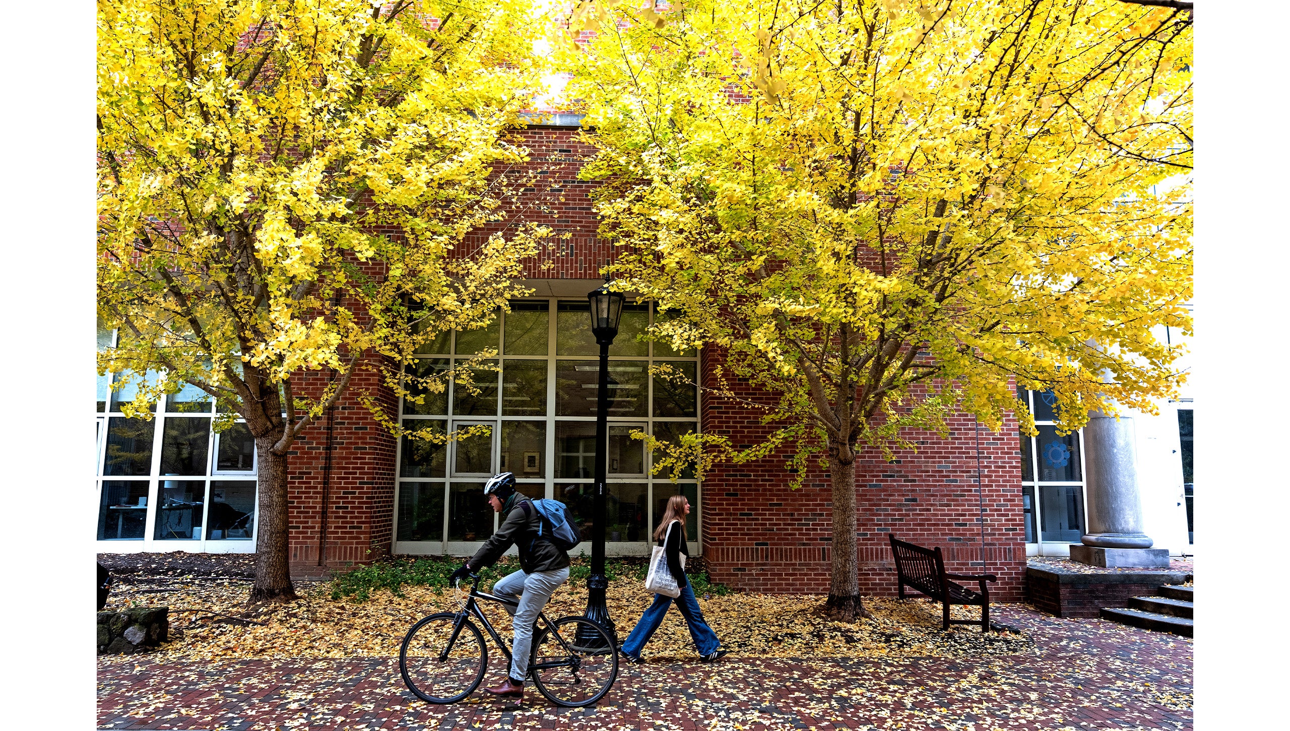 A person bicycling and another person walking down a leaf-covered brick pathway on the campus of UNC-Chapel Hill with trees with yellow and green leaves outside the Kenan Music Building also pictured.