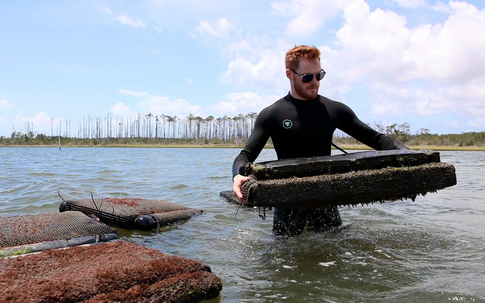 A researcher conducts work in the waters of North Carolina