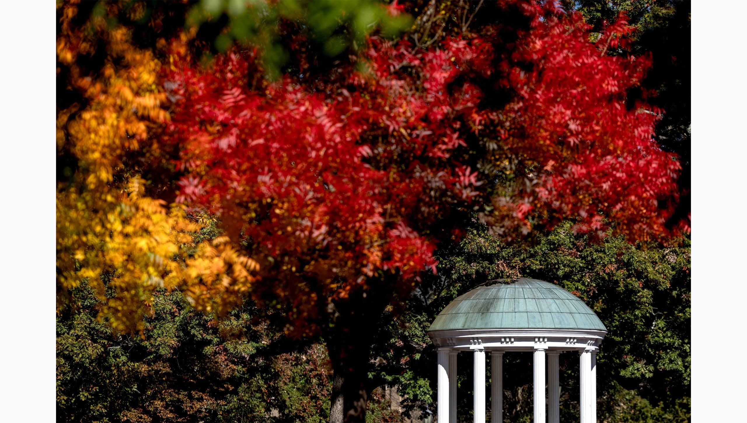 The Old Well on the campus of UNC-Chapel Hill on a sunny fall day. In the foreground are the hanging branches of trees with red, orange, yellow and green leaves.