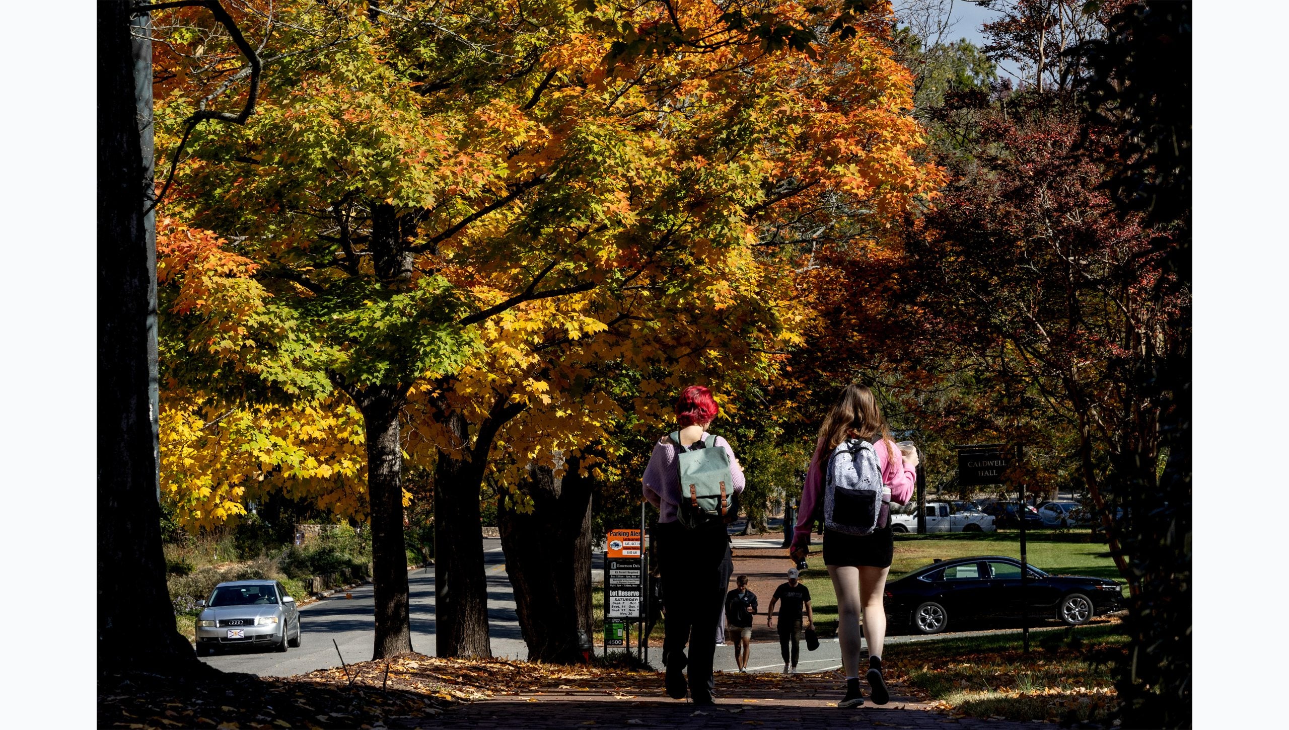 Two students walking on a brick pathway on the campus of UNC-Chapel Hill. Trees with yellow, orange and green leaves are seen in the horizon.