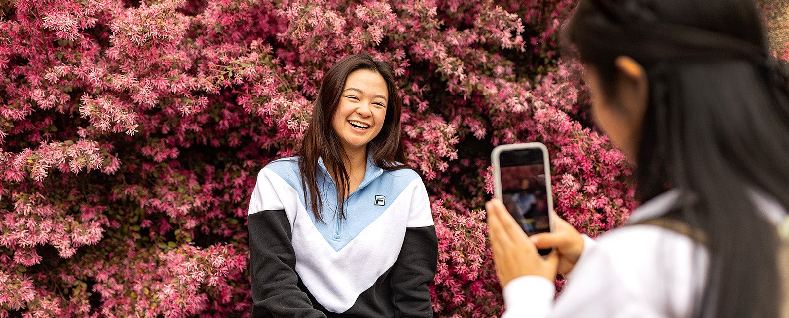 A UNC-Chapel Hill student posing for a photo in front of pink bushes on the campus of UNC-Chapel Hill as another student uses her iPhone to take a photo.