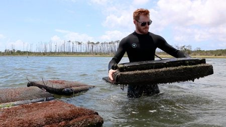 Man shakes water out of an oyster container