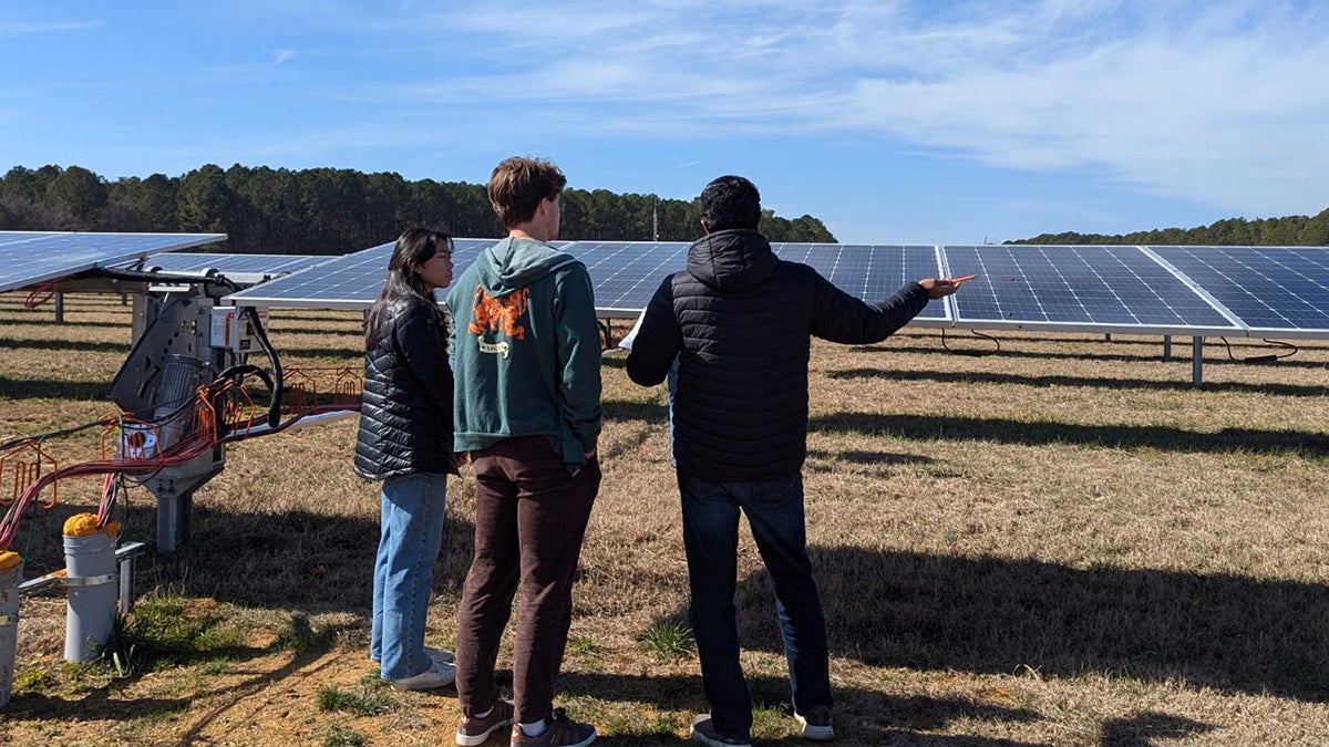 3 individuals looking over solar farm.