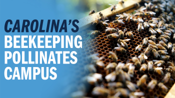 A close-up image of a beehive with bees covering the frames. The text 