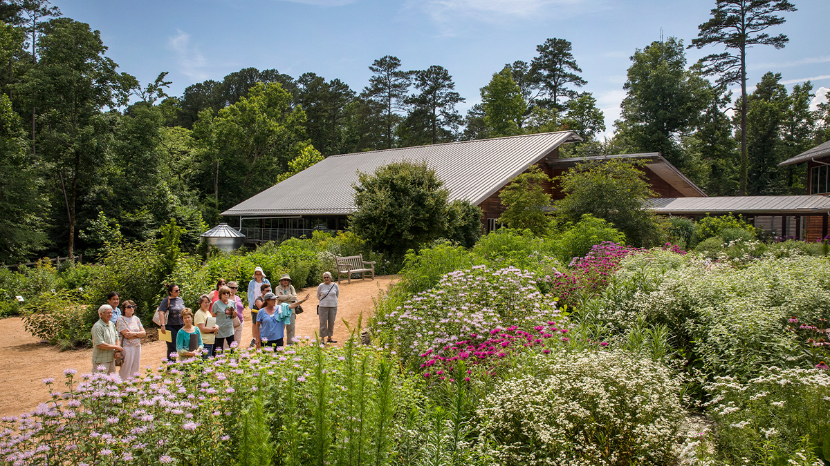 A tour guide leading a group of people through the green Botanical Gardens.