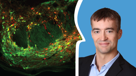 Greg Sherrer headshot on the right with a visual interpretation of his research on the left.