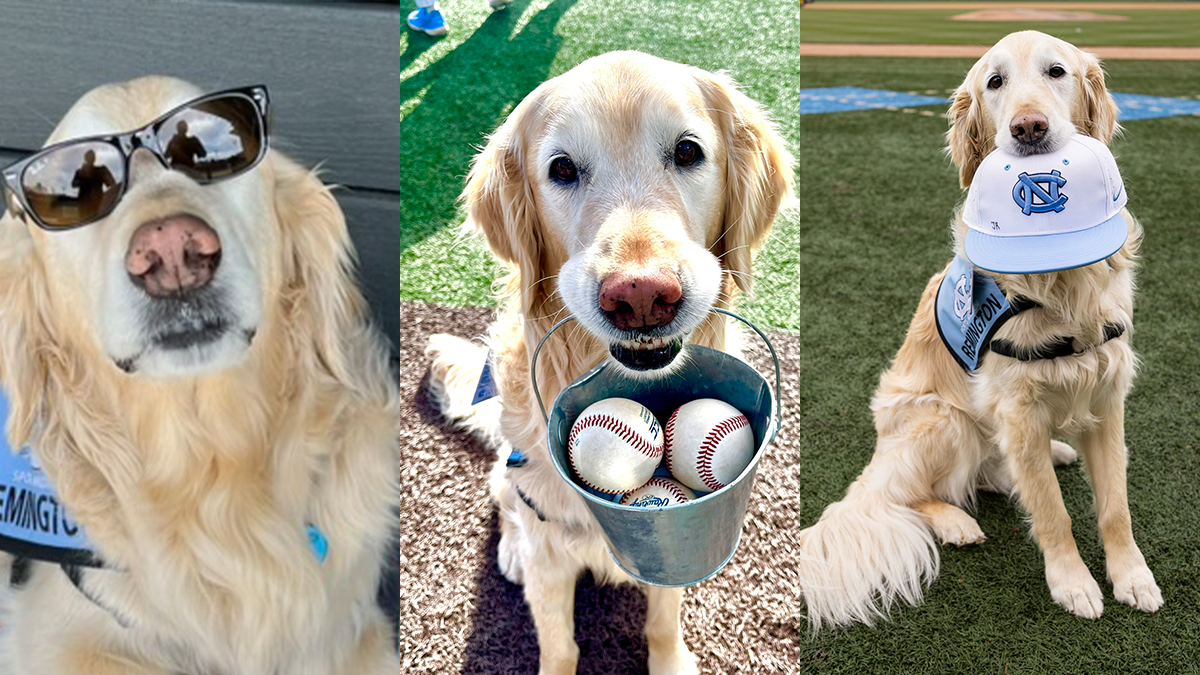 Collage image of Remington with sunglasses,