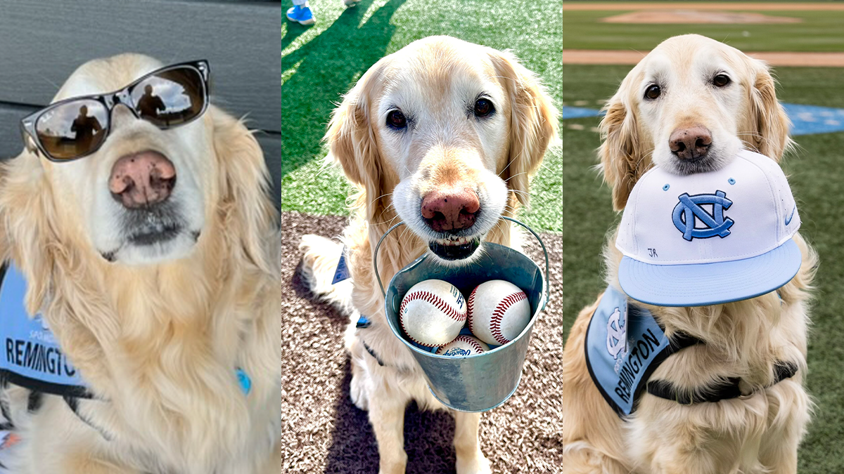 Collage image of Remington with sunglasses,